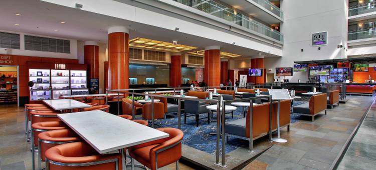 芝加哥市中心华丽一英里希尔顿安泊酒店(Embassy Suites by Hilton Chicago Downtown Magnificent Mile)图片