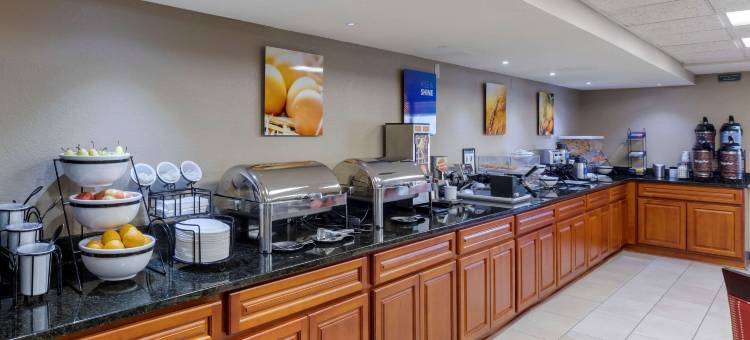 杰克逊舒适套房酒店 - 西区(Comfort Inn & Suites Jackson - West Bend)图片