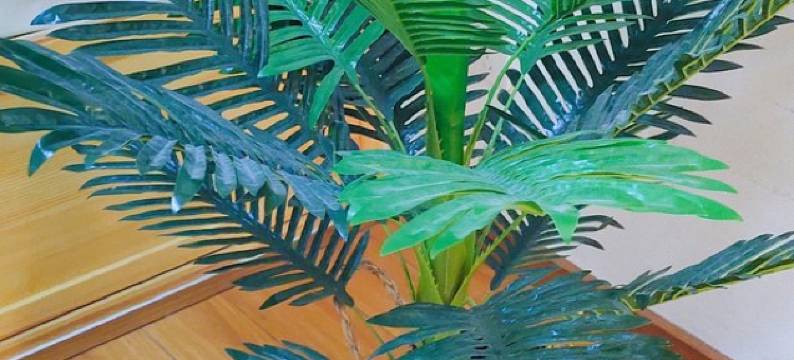 来得公寓民宿(澳门路1号分店)图片