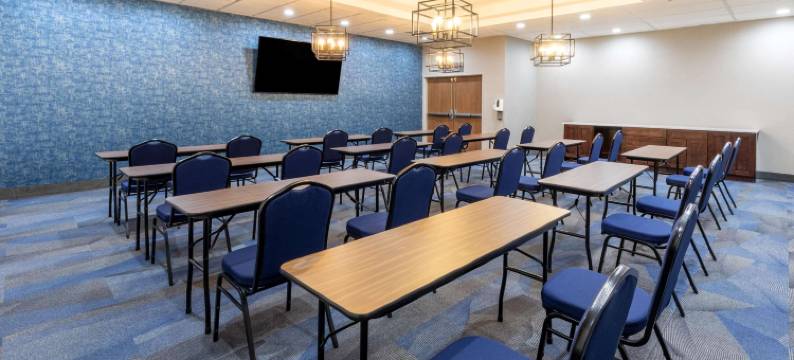 达拉斯拉昆塔温德姆酒店套房-弗赖拉辛体育场(La Quinta Inn & Suites by Wyndham Dallas - Frisco Stadium)图片