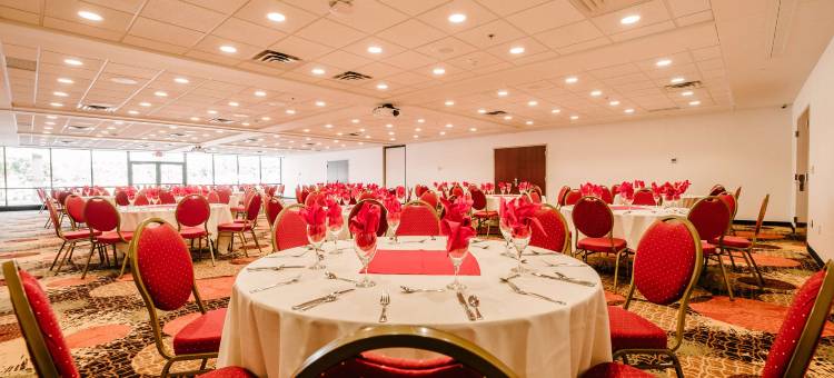 丽筠国会大厦边缘酒店(Radisson Hotel St. Paul Downtown)图片