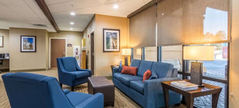 巴拿马城海滩舒适套房酒店(Comfort Suites)图片