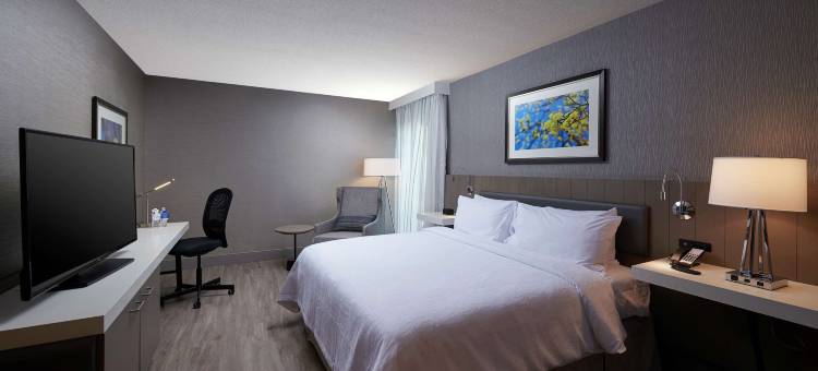 希尔顿花园酒店 - 圣约翰斯纽芬兰(Hilton Garden Inn St. John's Newfoundland)图片