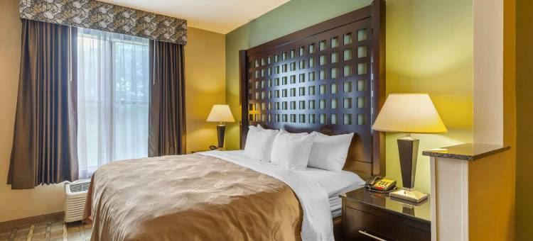 谢尔曼康福特套房酒店(Quality Suites Sherman)图片