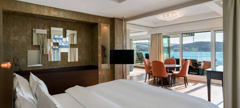伊斯坦布尔丽笙蓝标博斯普鲁斯酒店(Radisson Blu Bosphorus Hotel, Istanbul)图片