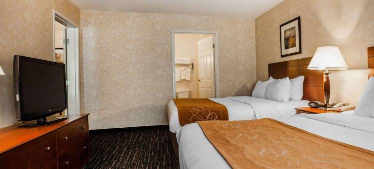 独立城舒适套房酒店-堪萨斯城(Comfort Suites Independence - Kansas City)图片