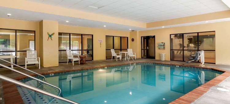 金斯波特南舒适套房酒店(Comfort Suites)图片