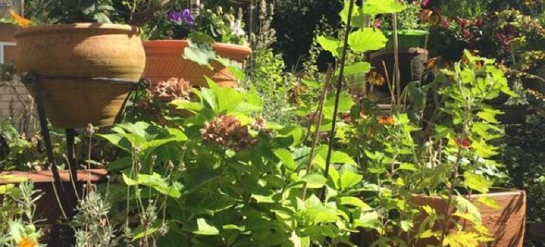 小瀑布高级酒店(Hotel Cascade Superior)图片