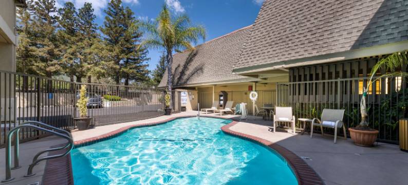 丹维尔梧桐贝斯特韦斯特酒店(Best Western Danville Sycamore Inn)图片