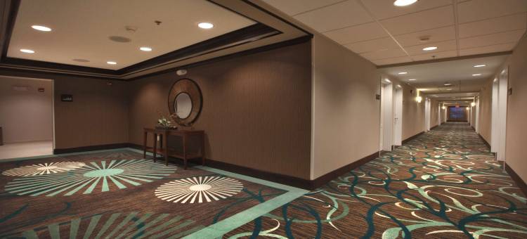 新奥尔巴尼欢朋酒店(Hampton Inn New Albany)图片