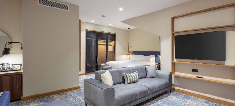 埃尔祖鲁姆希尔顿花园酒店(Hilton Garden Inn Erzurum)图片