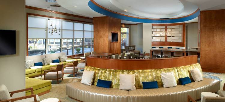 亚特兰大巴克海特万豪SpringHill酒店(SpringHill Suites Atlanta Buckhead)图片