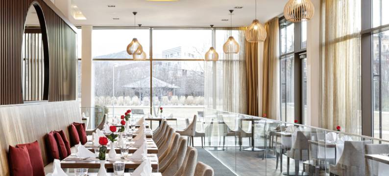 莱奥本酒店及亚洲水疗(Asia Hotel & Spa Leoben)图片