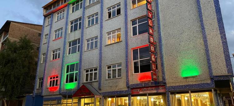 奥特尔布尤克多乌(Hotel Buyuk Dogu)图片