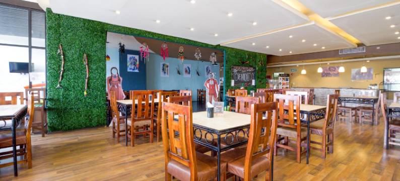 萨尔蒂洛拉富恩特酒店(Hotel la Fuente, Saltillo)图片