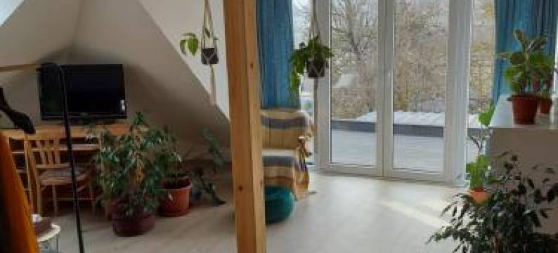 Apartman Barbara图片