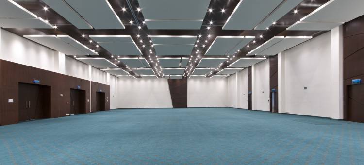 韦拉克鲁斯-博卡德尔里奥假日酒店(Holiday Inn Veracruz Boca Del Rio)图片