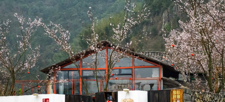 丽水曼山居Forest Retreat民宿图片