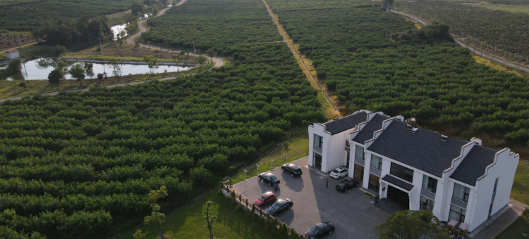 句容茅山清境田园度假村图片