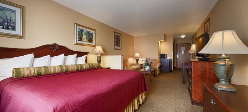 宾夕法尼亚-俄亥俄贝斯特韦斯特套房酒店(Best Western Penn-Ohio Inn  Suites)图片