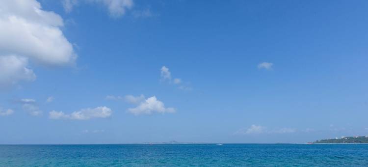 Mr.KINJO in MOTOBU OCEAN TERRACE(Mr.KINJO in MOTOBU OCEAN TERRACE)图片