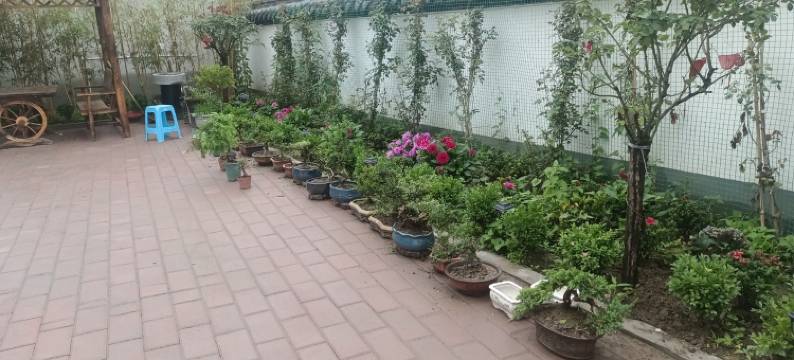 静园居民宿图片