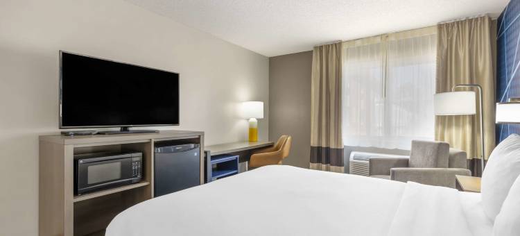 舒适酒店(Comfort Inn Hastings)图片