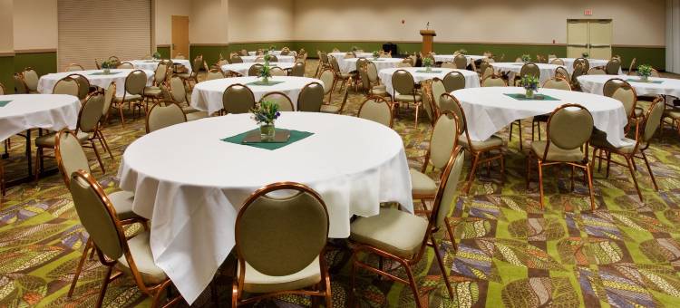 Holiday Inn 堪萨斯城机场(Holiday Inn Kansas City Airport)图片