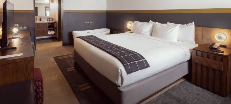 奥扎克尔旅馆(The Ozarker Lodge)图片