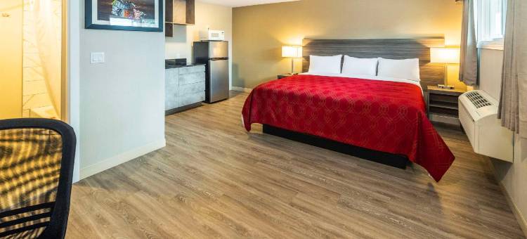 山麓汽车旅馆(Econo Lodge Inn & Suites)图片