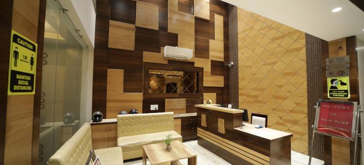 棕榈极乐国际酒店(Palm Bliss International Hotel)图片