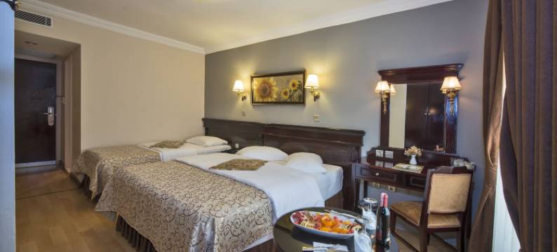 拉莱里格嫩酒店(Laleli Gonen Hotel)图片