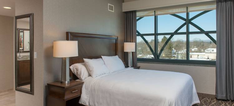 萨拉托加泉安泊套房酒店(Embassy Suites by Hilton Saratoga Springs)图片