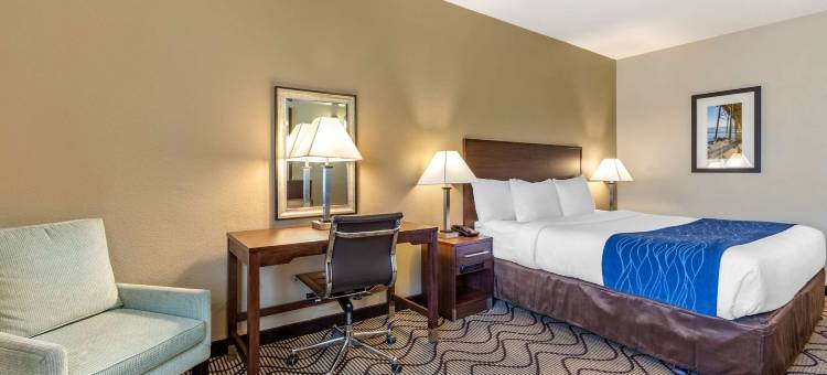 奥兰治县约翰韦恩机场舒适套房酒店(Comfort Inn & Suites Orange County John Wayne Airport)图片