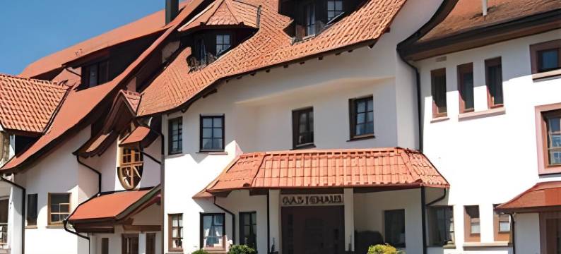 赫希酒店及餐厅(Hotel-Restaurant Hirsch)图片