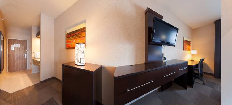 智选假日套房酒店比阿特丽斯(Holiday Inn Express & Suites Beatrice)图片