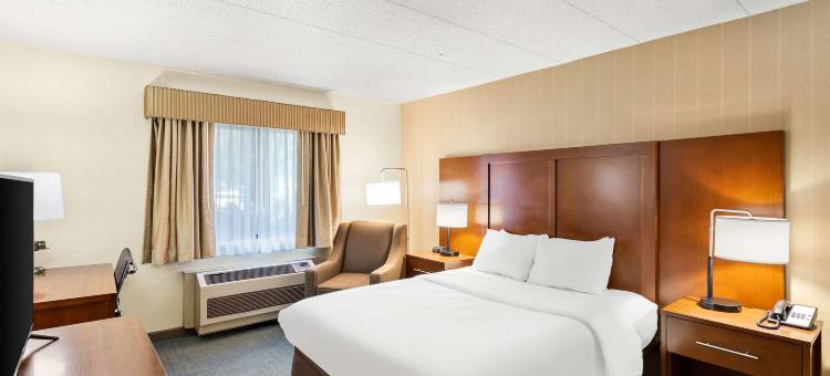 舒适酒店(Comfort Inn)图片