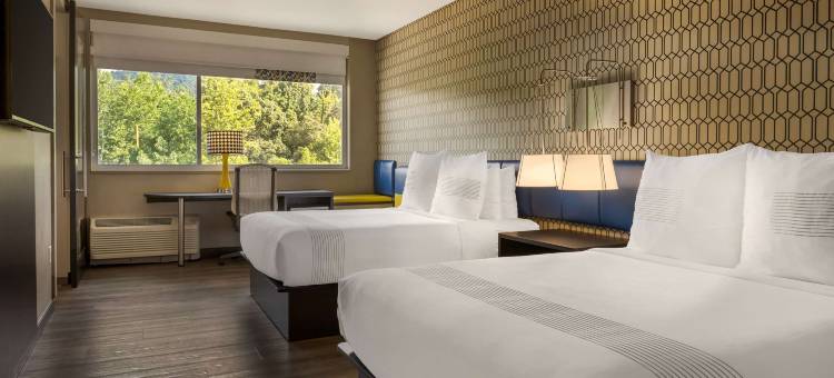 阿什维尔蓝岭山行车通道格洛酒店(GLo Best Western Asheville Tunnel Road)图片