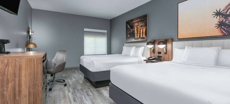 迪凯特拉昆塔温德姆套房酒店(La Quinta Inn & Suites by Wyndham Decatur)图片