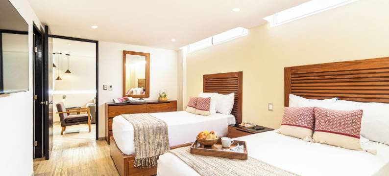 大查普尔特佩克住宅酒店(Grand Chapultepec Residencial)图片