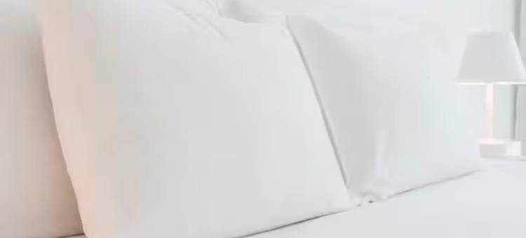 阿拉巴马州约克温德姆戴斯酒店(Days Inn by Wyndham York Alabama)图片