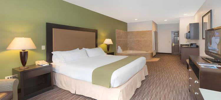 芝加哥迪尔菲尔德/林肯郡智选假日套房酒店(Holiday Inn Express & Suites Chicago-Deerfield/Lincolnshire)图片