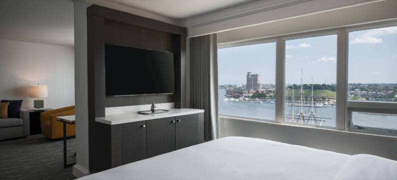 巴尔的摩哈勃尔普勒斯万丽酒店(Renaissance Baltimore Harborplace Hotel)图片