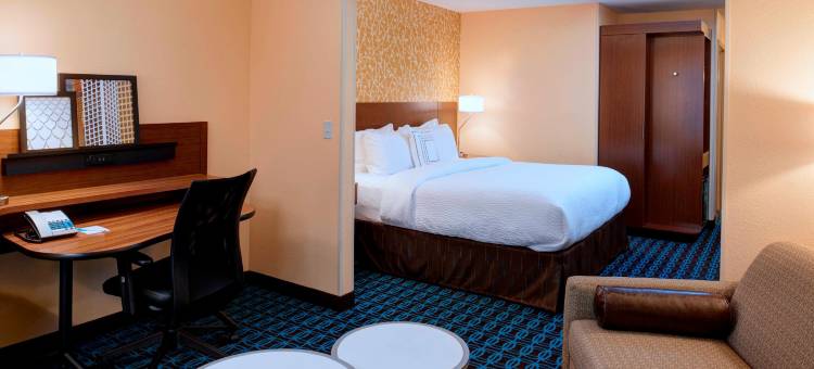 安娜堡伊普西兰蒂万枫酒店及套房(Fairfield Inn & Suites Ann Arbor Ypsilanti)图片