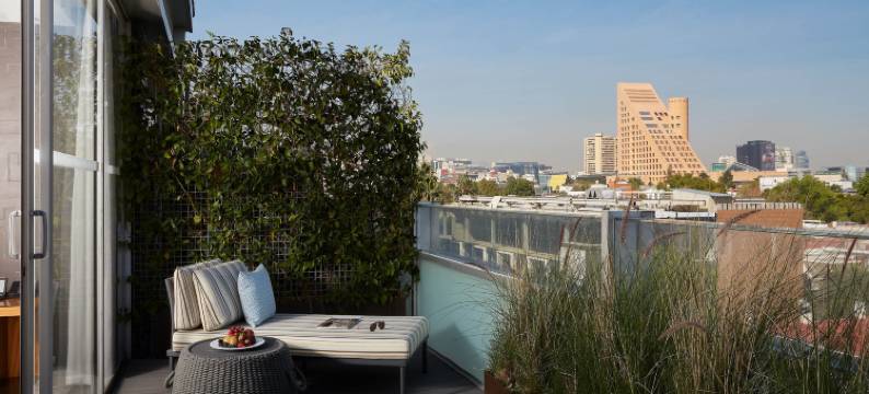 阿科巴斯墨西哥城豪华精选酒店(Las Alcobas, a Luxury Collection Hotel, Mexico City)图片