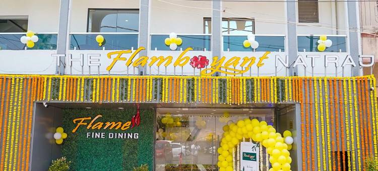 辉煌的纳特拉吉(The Flamboyant Natraj)图片