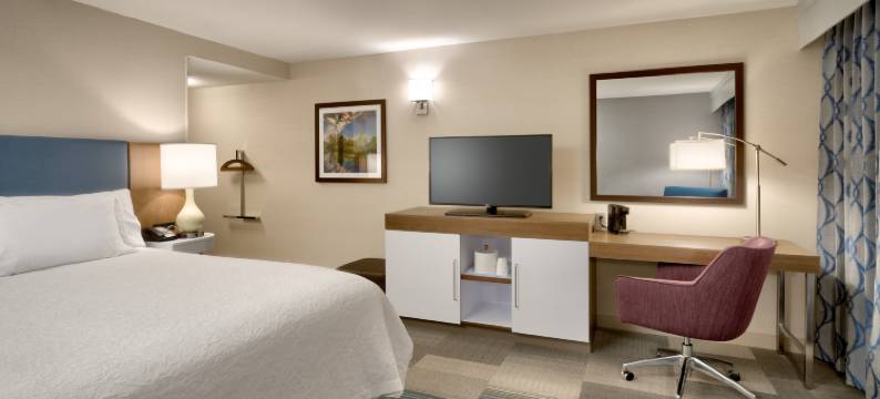 波卡特洛欢朋套房酒店(Hampton Inn & Suites Pocatello)图片