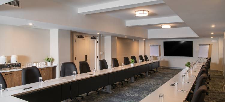 希尔顿彼得斯堡酒店，希尔顿挂毯收藏(Hotel Petersburg, Tapestry Collection by Hilton)图片