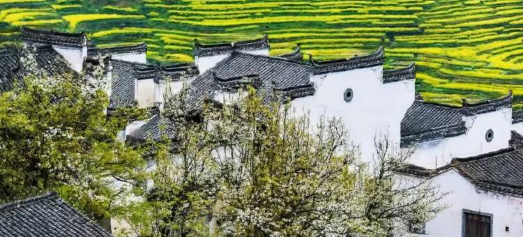 婺源云度美宿(篁岭风景区店)图片
