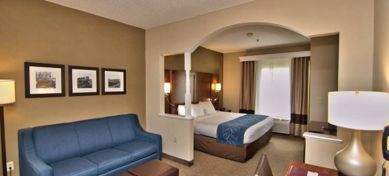 舒适套房酒店-近斯克兰顿蒙太奇山(Comfort Suites Scranton Near Montage Mountain)图片